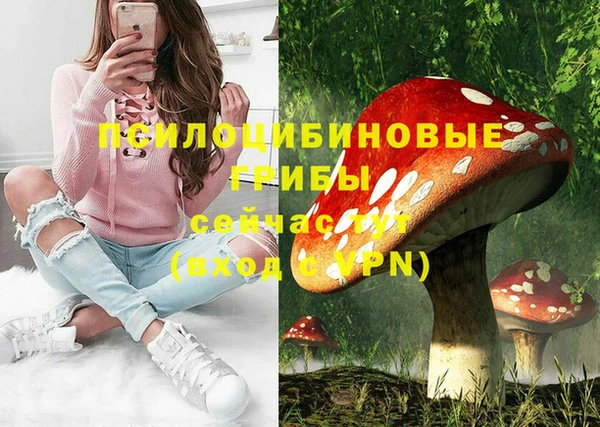 мескалин Верхний Тагил