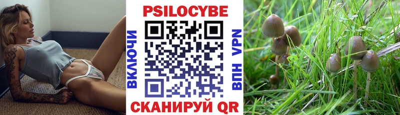 KRAKEN ССЫЛКА  Вилючинск  Галлюциногенные грибы MAGIC MUSHROOMS 